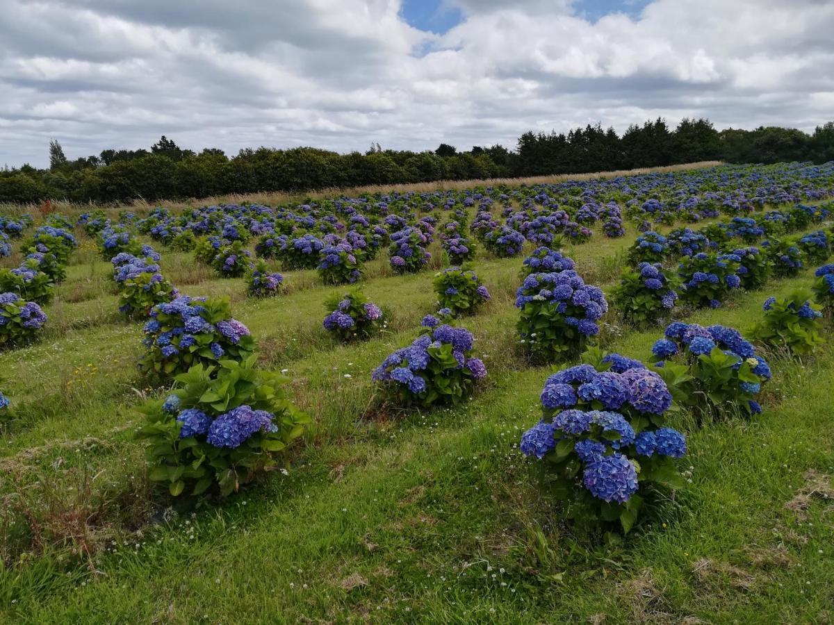 Bnb La Neo Bretonne Minihy-Treguier Bagian luar foto